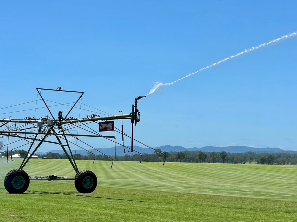 gun watering turf