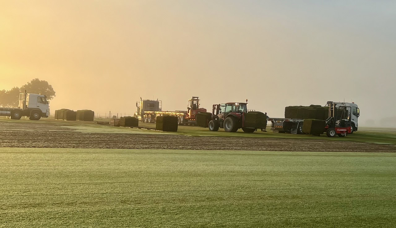 trucks on a field of turf