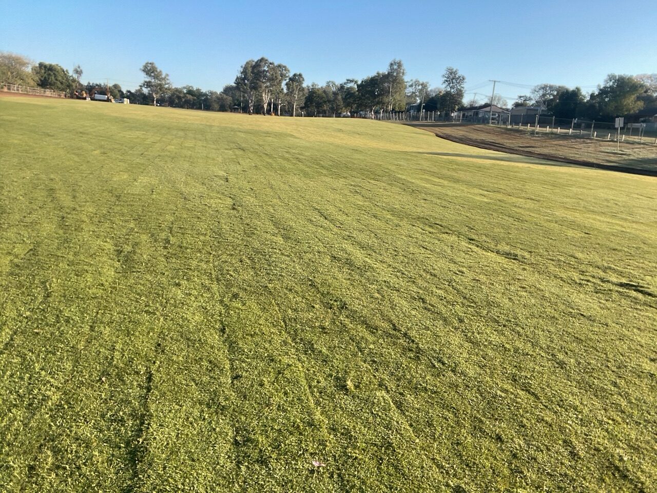 wide field of turf