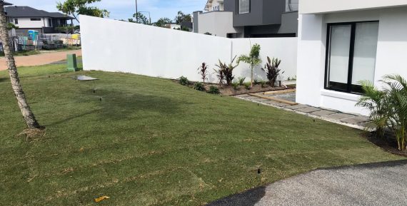 frontyard with turf